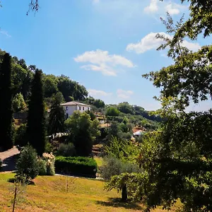 Terra Volonteri Montecatini Terme